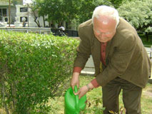 Planting Roses Around Alexander Spendiaryan's Grave